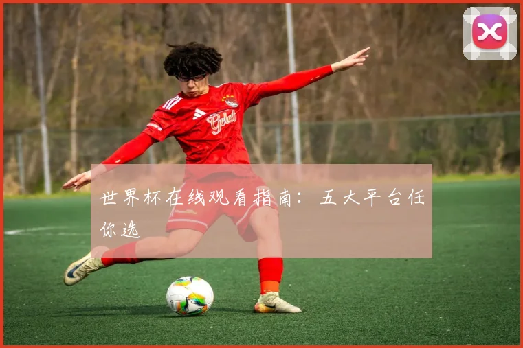 世界杯在线观看指南：五大平台任你选