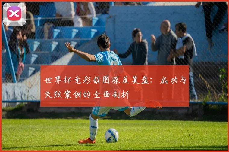 世界杯竞彩截图深度复盘：成功与失败案例的全面剖析