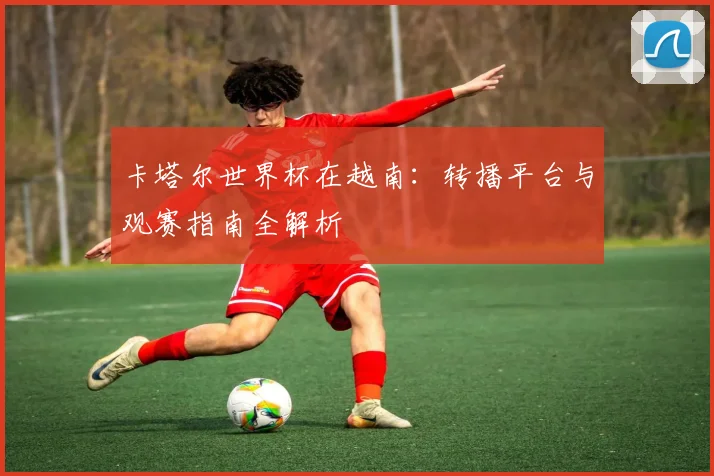 卡塔尔世界杯在越南：转播平台与观赛指南全解析