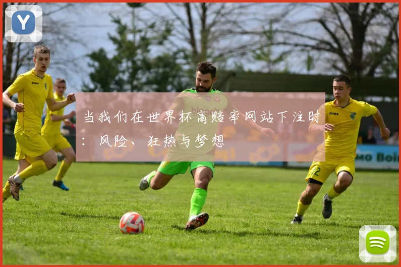 当我们在世界杯高赔率网站下注时:风险、狂热与梦想